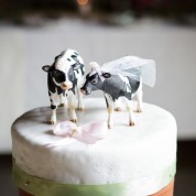 Humanist Barn Wedding Barmby Moor York